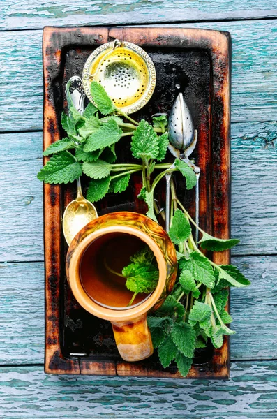 Chá natural com melissa — Fotografia de Stock