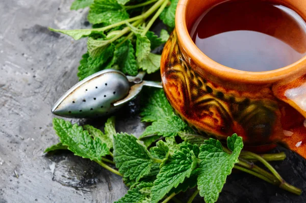 Té de hierbas en una taza de vidrio —  Fotos de Stock