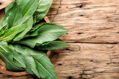 Taze ıspanak yaprağı