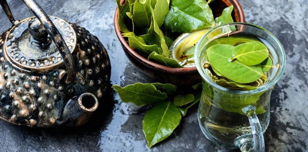 Té con hoja de laurel — Foto de Stock