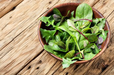 sağlıklı bahar salatası