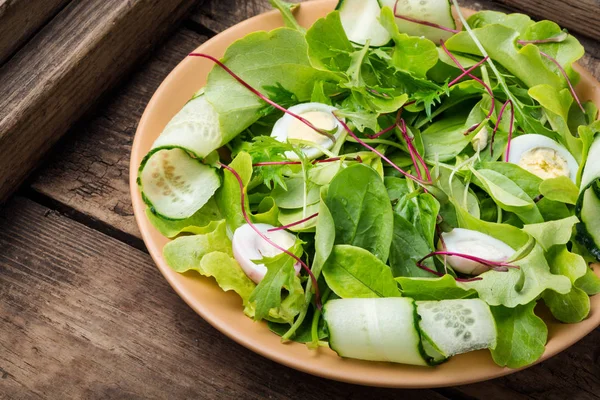 Färsk vårsallad — Stockfoto