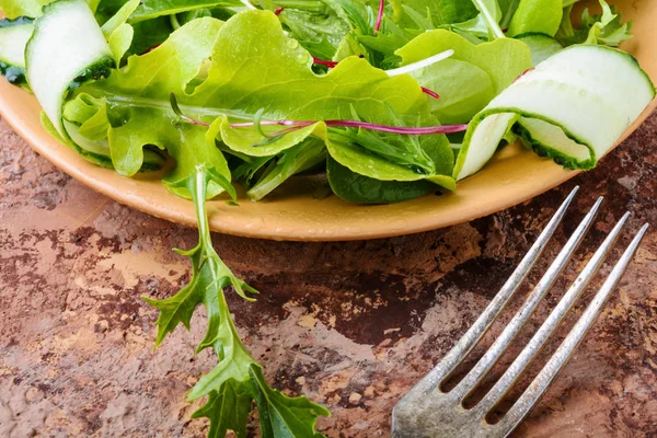 Sallad med mixsallad blad — Stockfoto