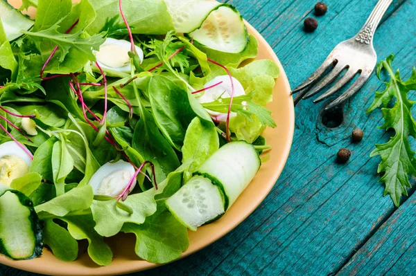 Салат з сумішшю листя салату — стокове фото