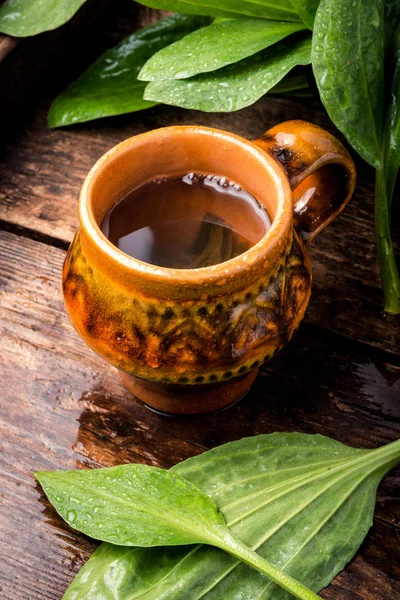 Taza de té saludable — Foto de Stock