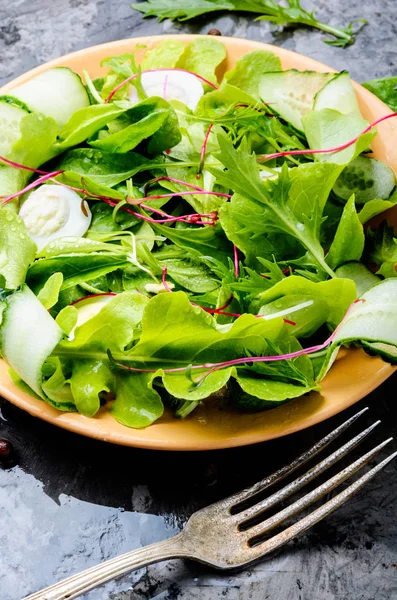 Verse lentesalade — Stockfoto