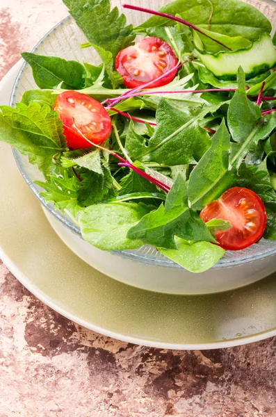 Taze bahar salatası — Stok fotoğraf