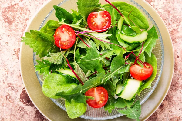 Salada de primavera fresca — Fotografia de Stock