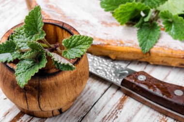 Yeşil taze melissa yaprakları