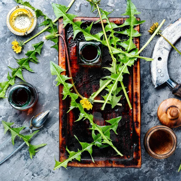 Dandelion tincture in bottle — Stock Photo, Image