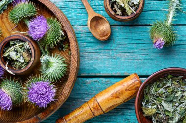 Çiçekler ile süt devedikeni