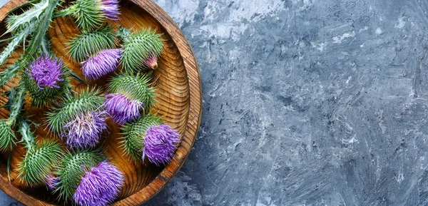 bitkisel ilaç ve Homeopati