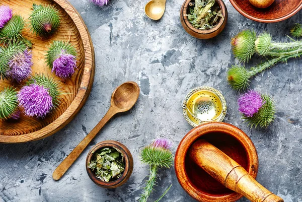 Milk thistle with flowers — Stock Photo, Image