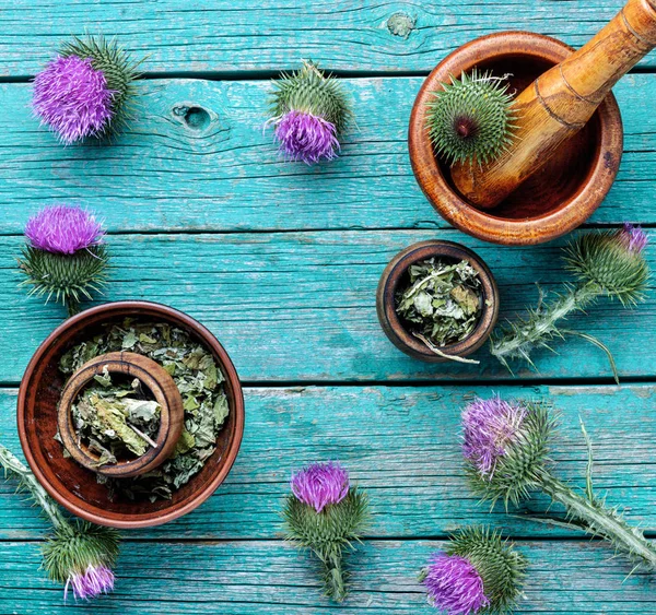Medicina herbal y homeopatía — Foto de Stock