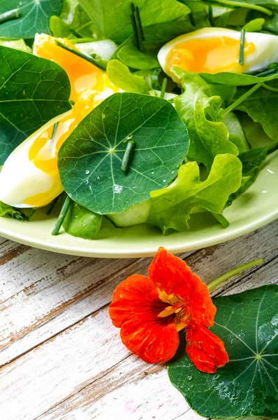Yaz nasturtium salatası — Stok fotoğraf