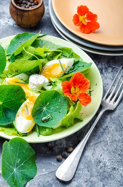 Summer nasturtium salad — Stock Photo, Image