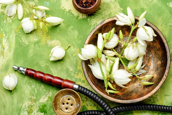 Smoking pipe and floral tobacco — Stock Photo, Image