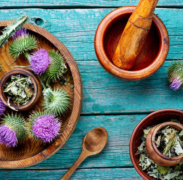 Herbal medicine and homeopathy — Stock Photo, Image