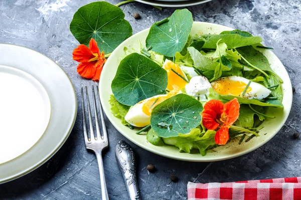 Sommar Nasturtium sallad — Stockfoto