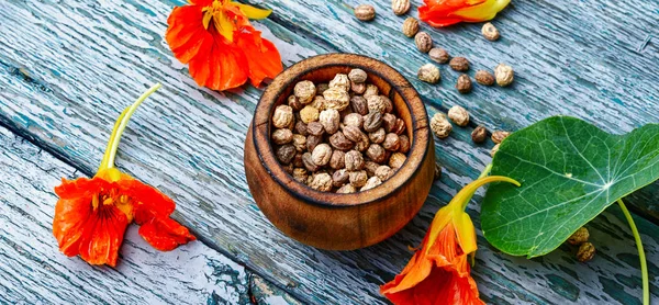 Seeds,and flowers of nasturtium — Stock Photo, Image