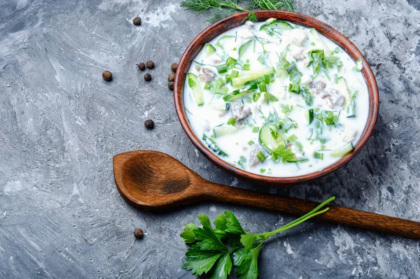 Okroshka,cold summer soup — Stock Photo, Image