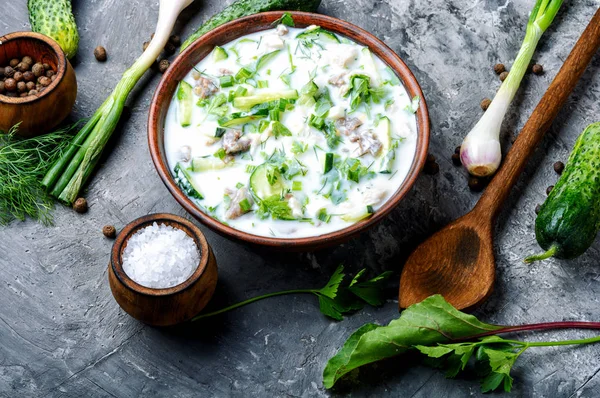 Okroshka, soğuk yaz çorbası