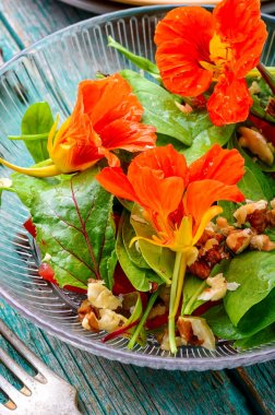 Summer nasturtium salad clipart