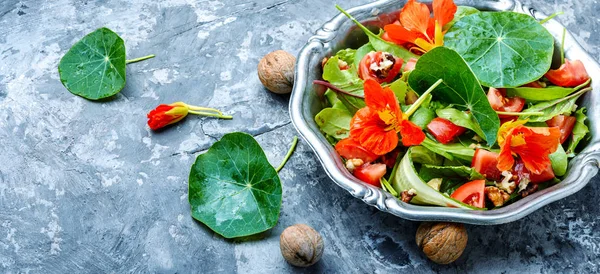Салат з квітами настурції — стокове фото