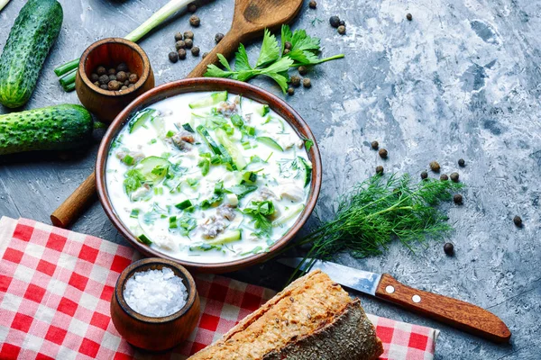 Okroshka,cold summer soup — Stock Photo, Image