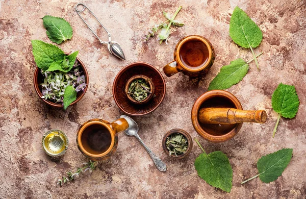 Taze yaprak adaçayı — Stok fotoğraf