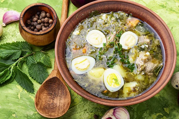 Soup of sorrel and nettles — Stock Image Soup of sorrel and nettles Stock Image