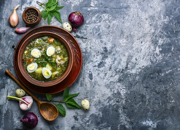 Soup of sorrel and nettles — Stock Image Soup of sorrel and nettles Stock Picture