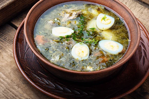 Delicious green soup with sorrel — Stock Image Delicious green soup with sorrel Stock Image