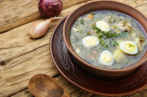 Ukrainian green borsch — Stock Photo, Image