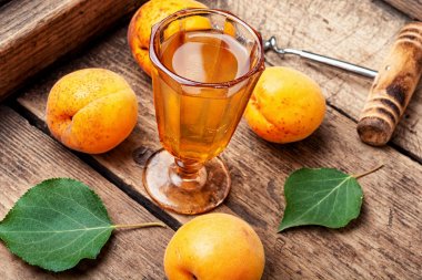 Homemade apricot wine clipart