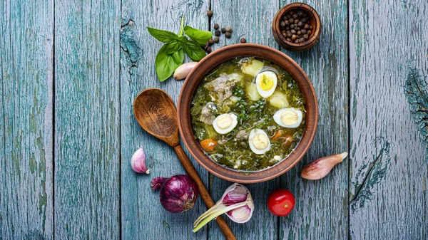 Soup of sorrel and nettles — Stock Image Soup of sorrel and nettles Stock Photo