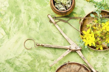 Hypericum şifalı bitki