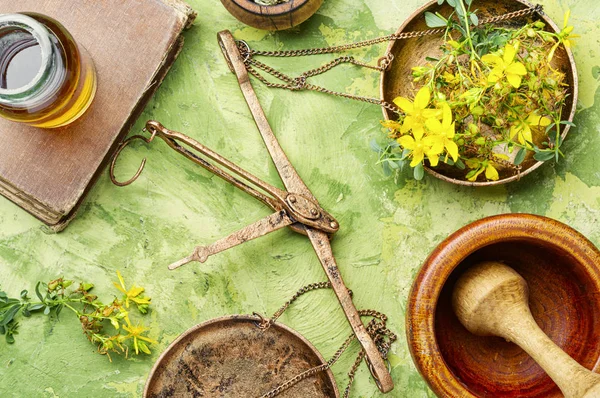 Hypericum medicinal plant — Stock Photo, Image