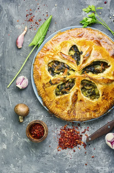 Tarte aux légumes aux champignons — Photo