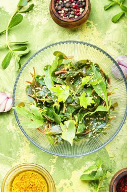 Maydanoz ve portulaca salatası