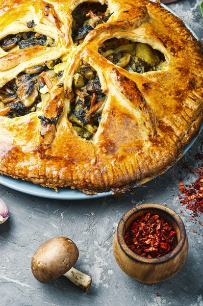 Pastel de verduras con setas — Foto de Stock