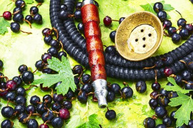 Kuş üzümü ile sigara oryantal nargile