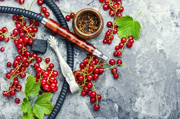 Shisha hookah with red currant — Stock Photo, Image