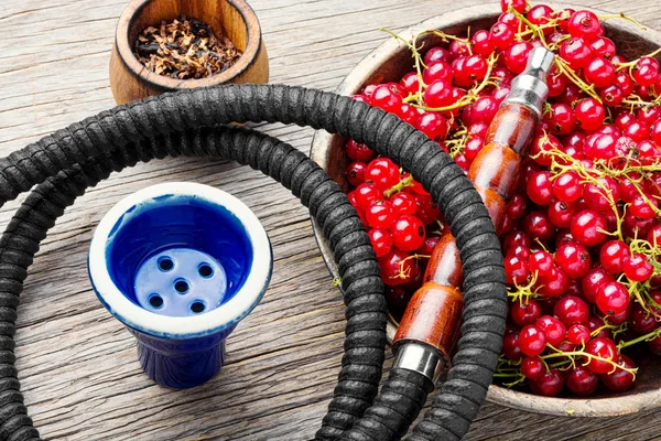 Kuş üzümü tütünü ile Arabistan nargile