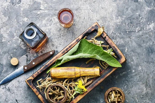 Planta curativa inula — Foto de Stock