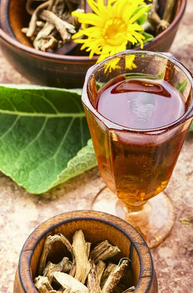 Heiltinktur-Inula — Stockfoto