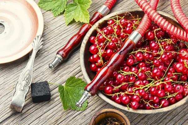 Ost shisha med röd vinbärs tobak — Stockfoto