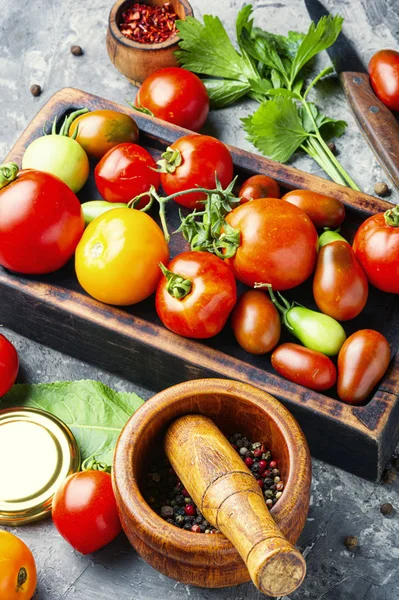 Höst tomat bevarande — Stockfoto