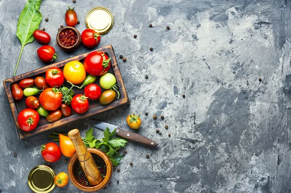 Autumn tomato preservation — Stock Image Autumn tomato preservation Stock Photo