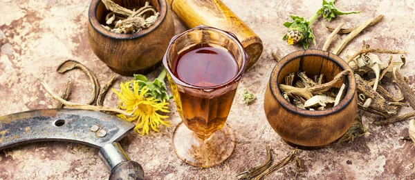 Impianto di guarigione inula — Foto Stock